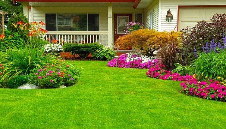 Lawn Care