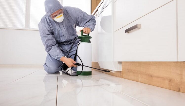 pest control