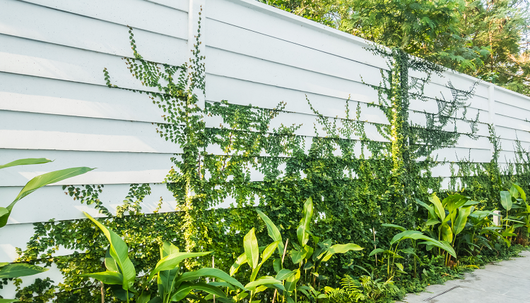 Vinyl Fencing